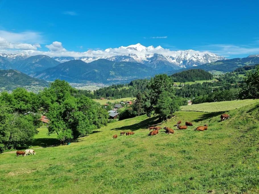 A Cordon Entre Bois Et Nature 外观 照片