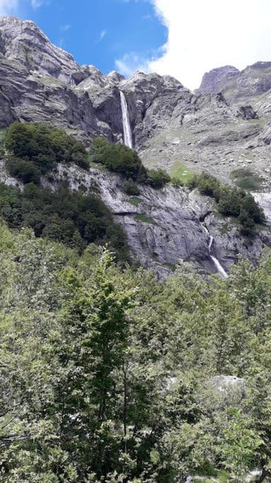 A Cordon Entre Bois Et Nature 外观 照片
