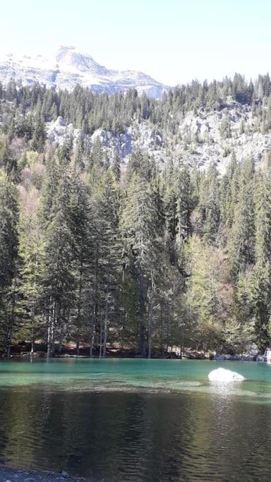 A Cordon Entre Bois Et Nature 外观 照片
